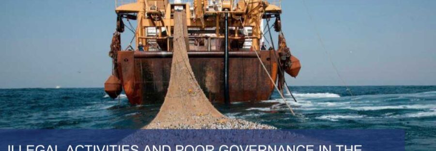 Cemlaws Policy Brief